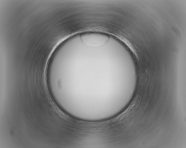 X0000115700832200912101213