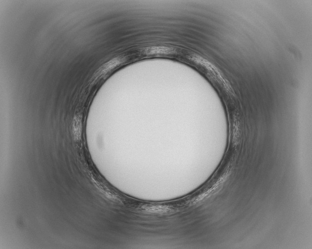 X0000115700833200912101213