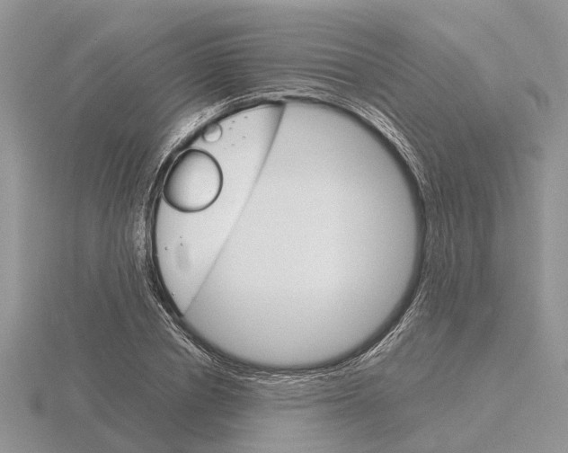 X0000115700834200912101213