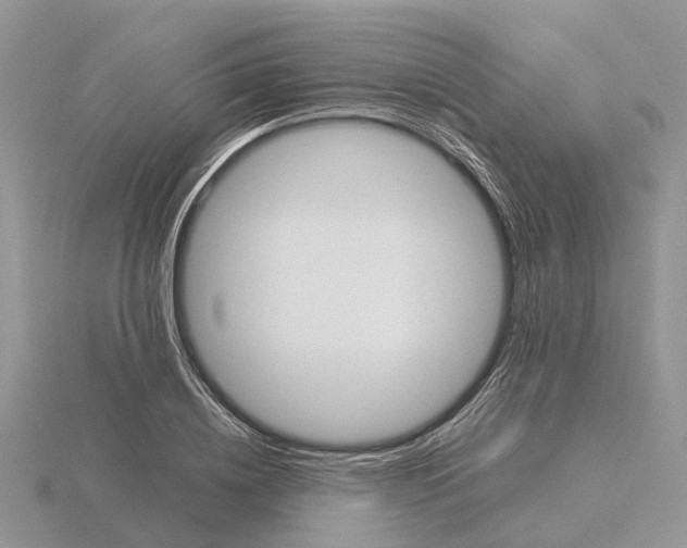 X0000115700836200912101213