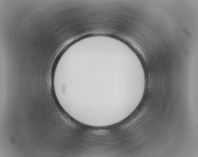 X0000115700837200912101213