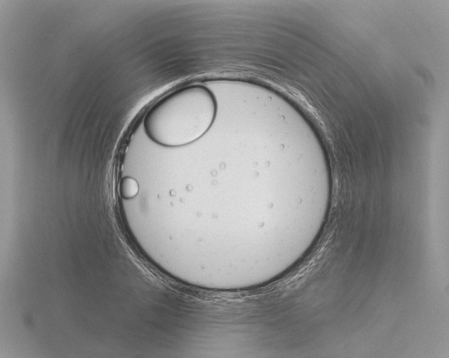 X0000115700838200912101213