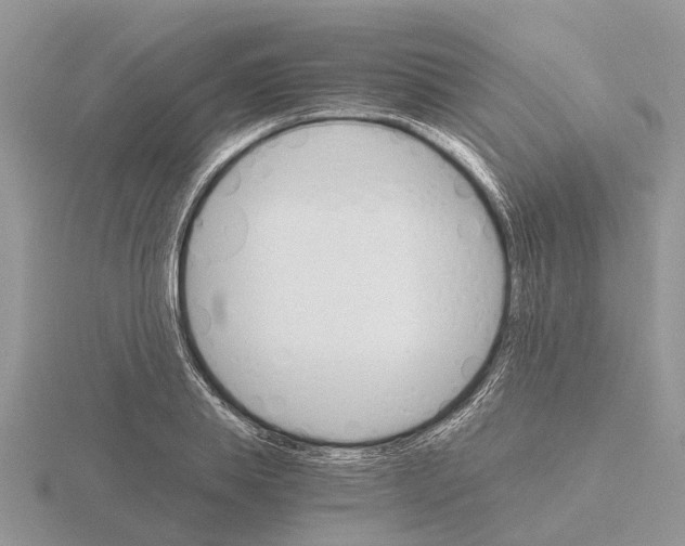 X0000115700839200912101213