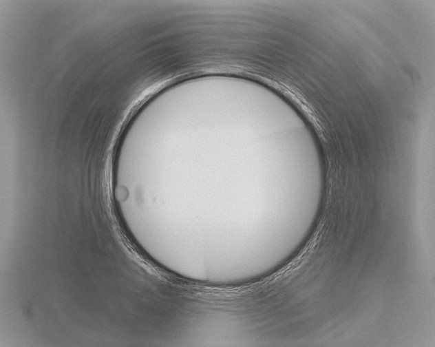 X0000115700840200912101213