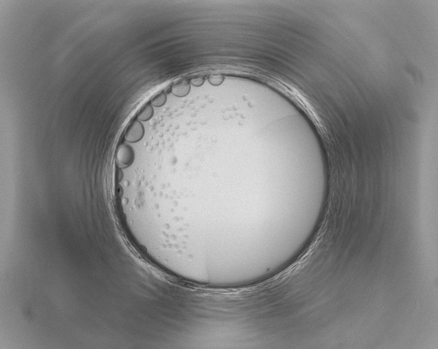 X0000115700844200912101213