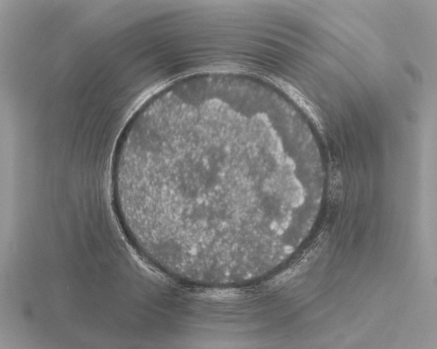 X0000115700845200912101213