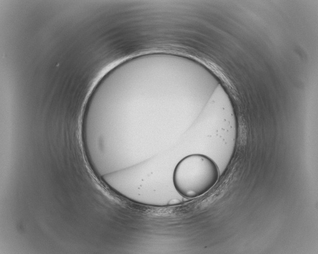 X0000115700846200912101213