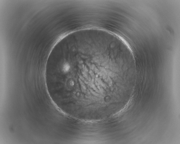 X0000115700847200912101213