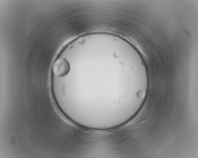 X0000115700848200912101213