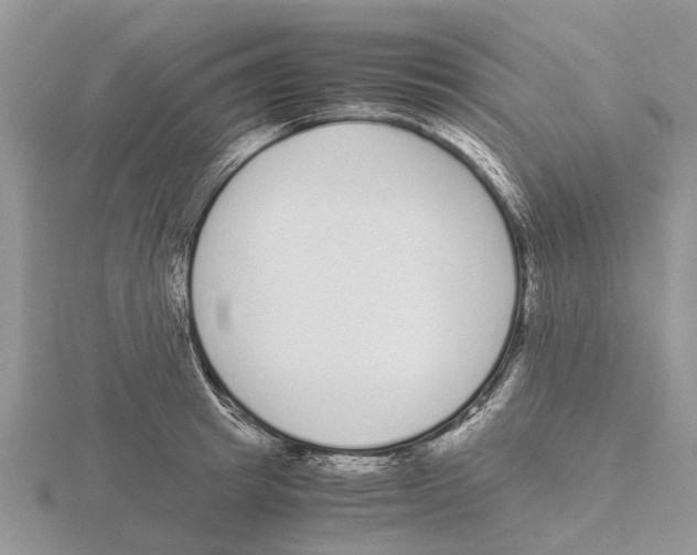 X0000115700849200912101213