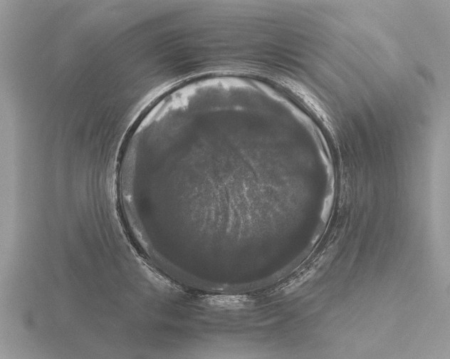 X0000115700853200912101213