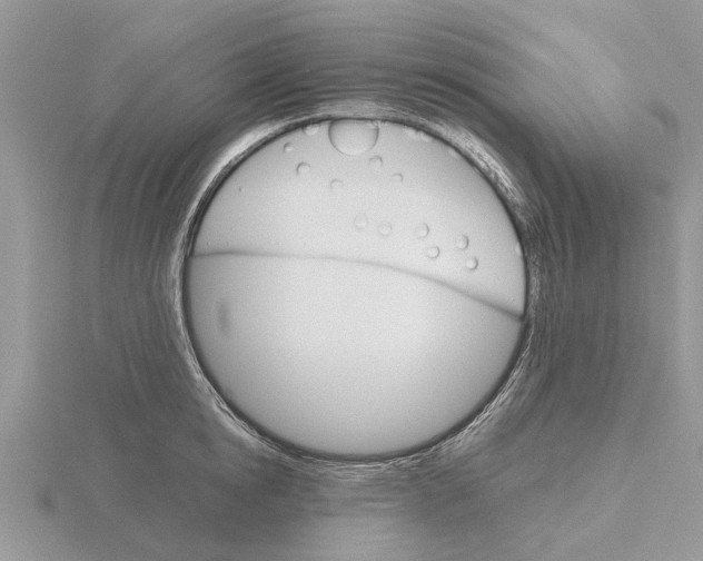 X0000115700854200912101213