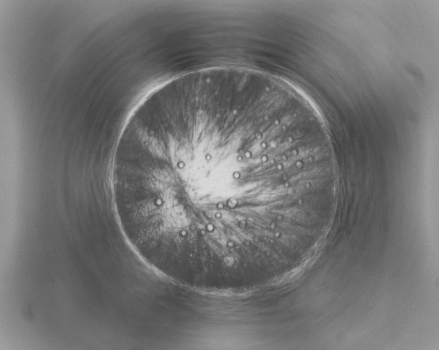 X0000115700855200912101213