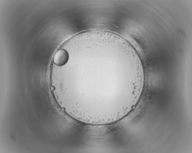 X0000115700856200912101213