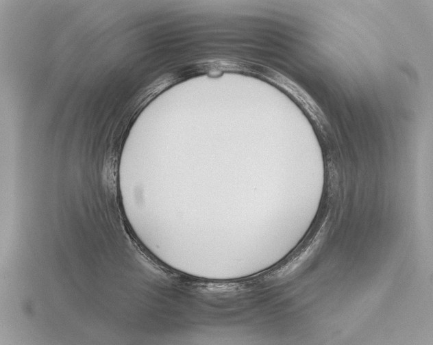 X0000115700857200912101213