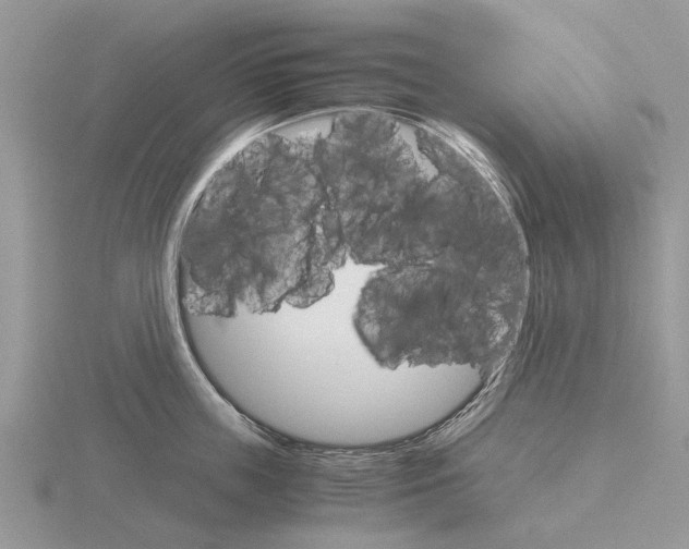 X0000115700859200912101213