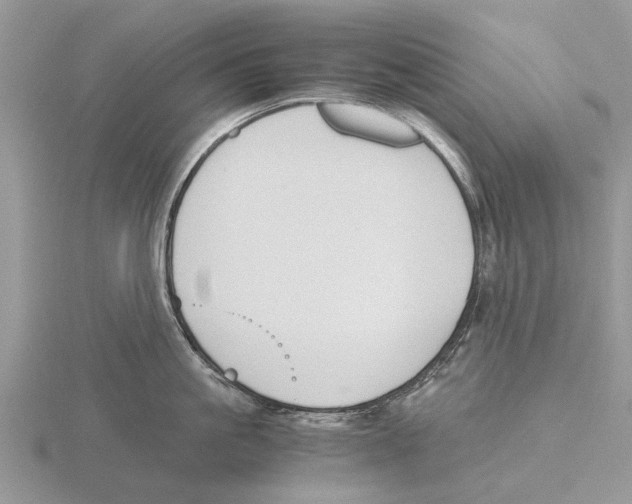 X0000115700861200912101213