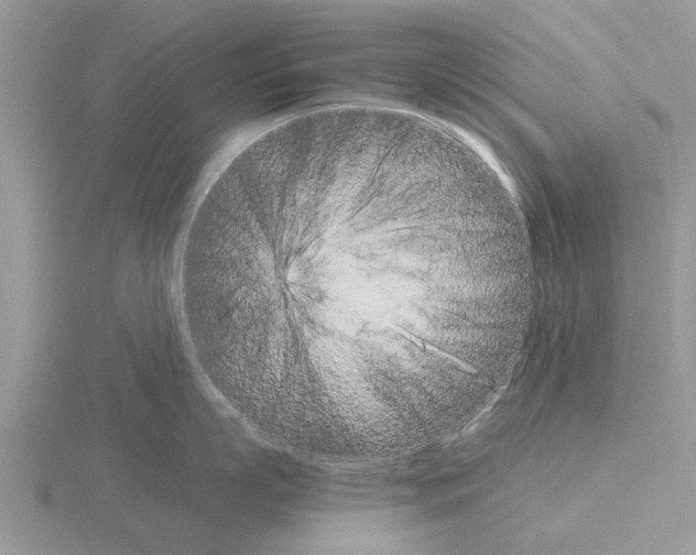 X0000115700863200912101213