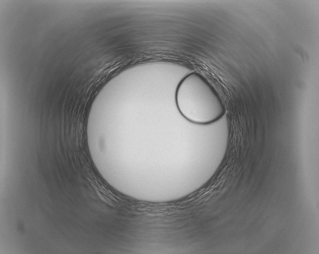 X0000115700868200912101213