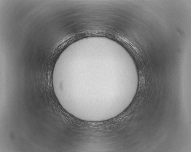 X0000115700870200912101213