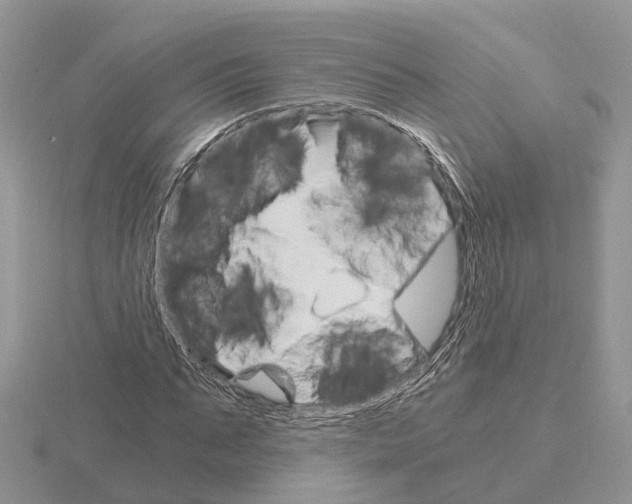 X0000115700871200912101213