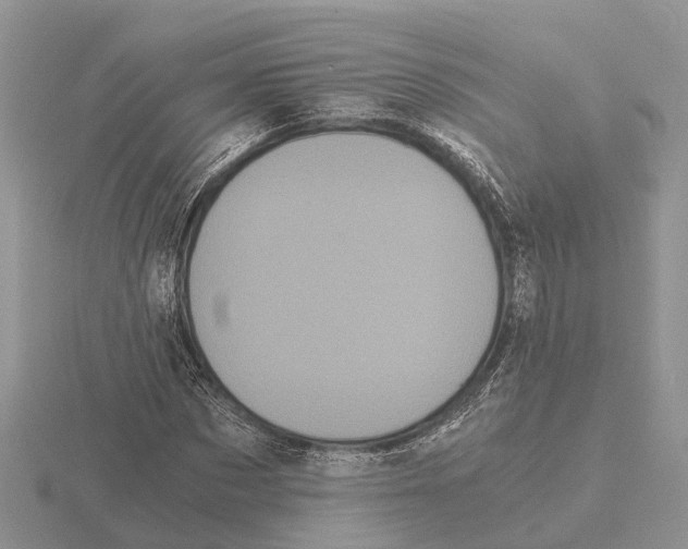 X0000115700873200912101213