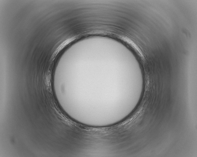 X0000115700874200912101213