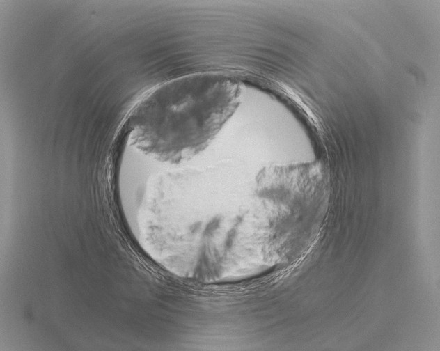 X0000115700875200912101213