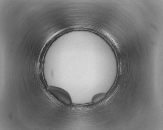 X0000115700876200912101213