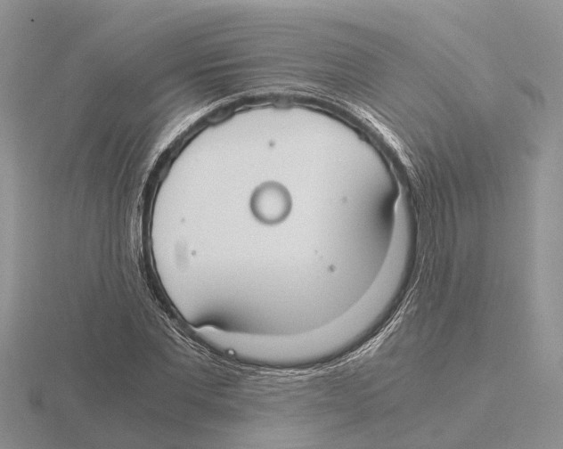 X0000115700877200912101213