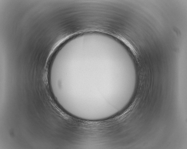 X0000115700878200912101213