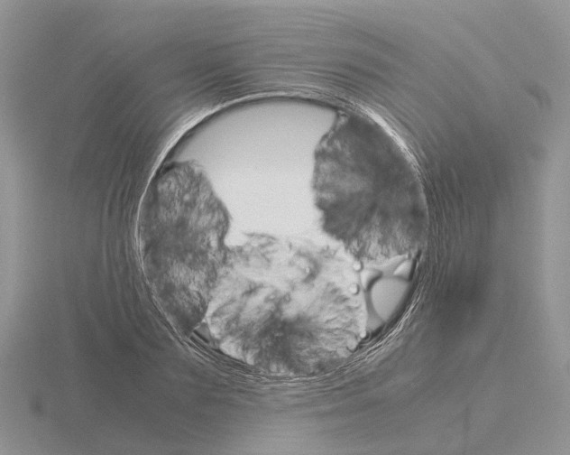 X0000115700883200912101213