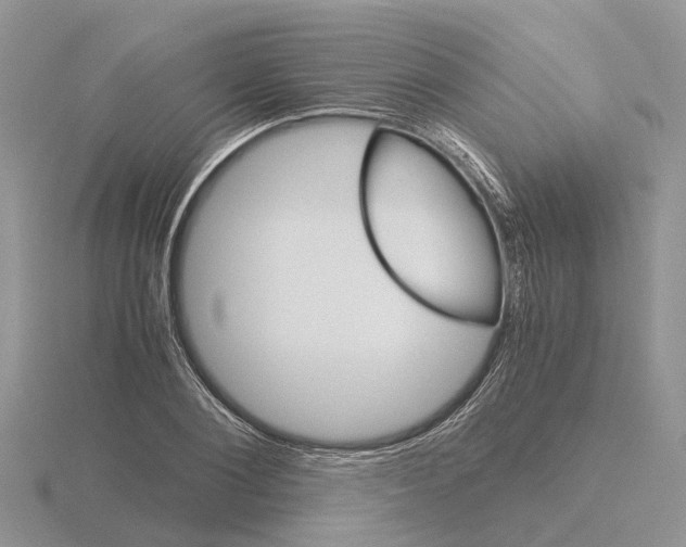 X0000115700884200912101212