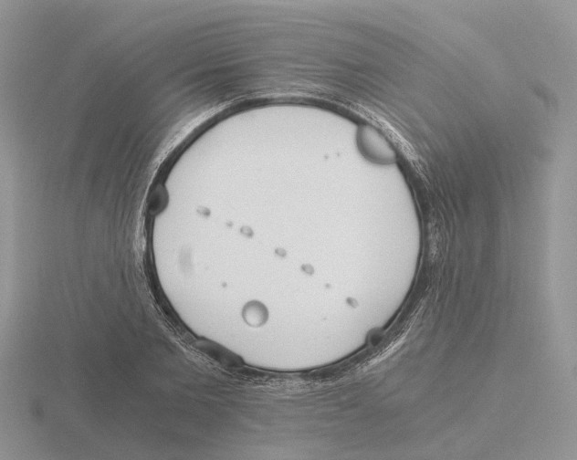 X0000115700885200912101212