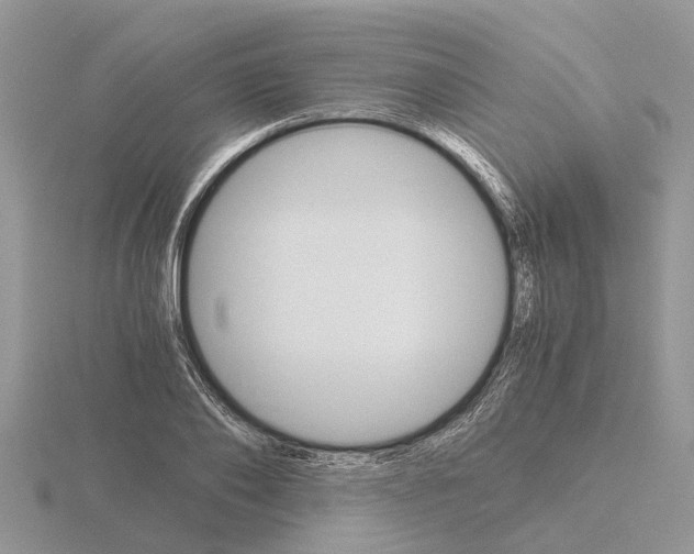 X0000115700886200912101212