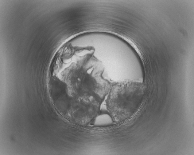 X0000115700887200912101212