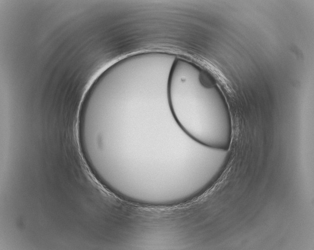 X0000115700888200912101212