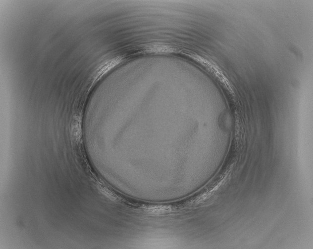 X0000115700889200912101212