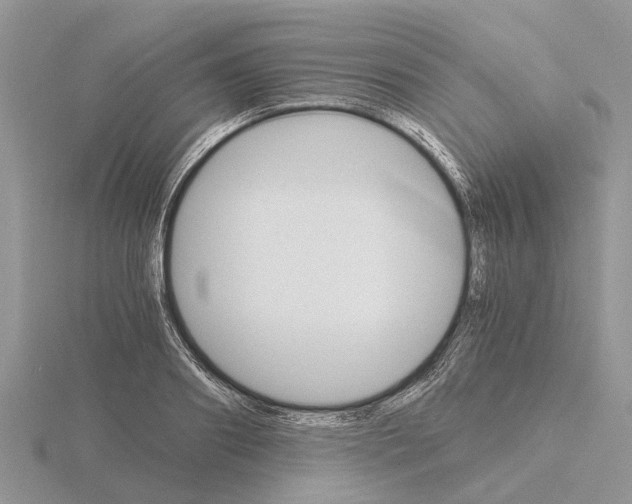 X0000115700890200912101212