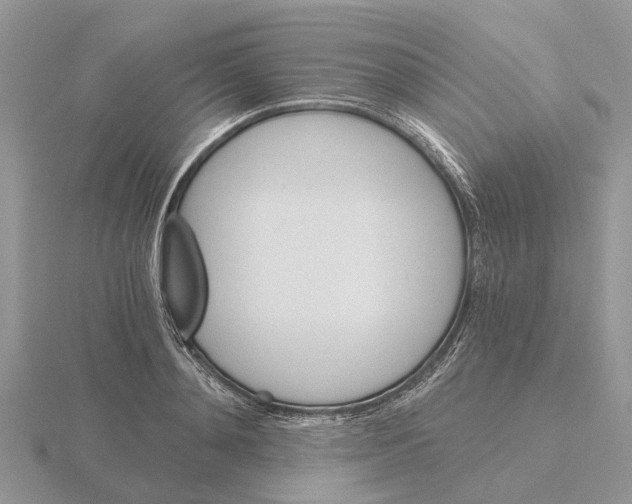 X0000115700892200912101212