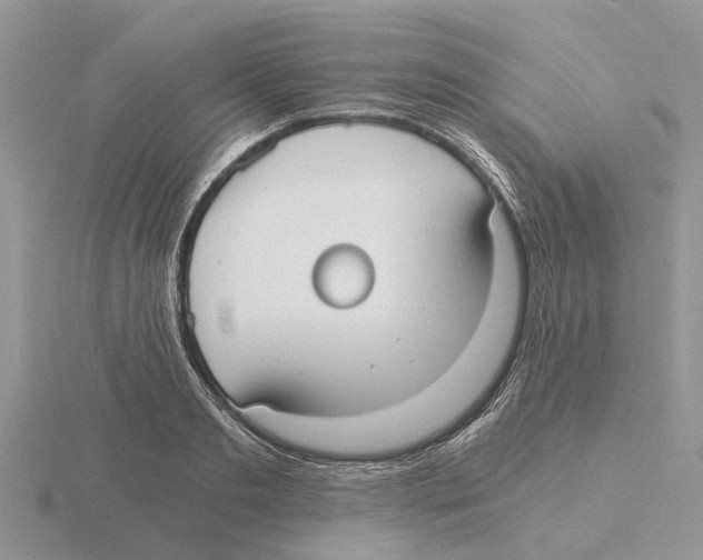 X0000115700893200912101212