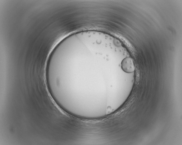 X0000115700894200912101212