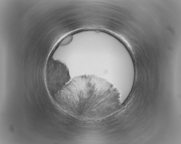 X0000115700895200912101212