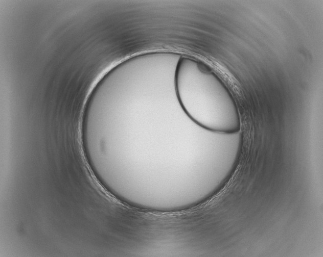 X0000115700896200912101212