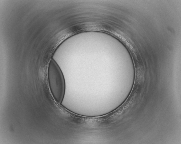 X0000115700897200912101212