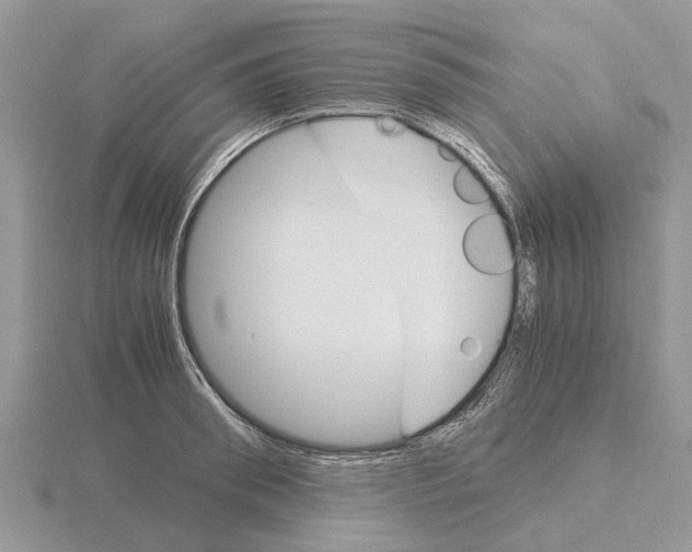 X0000115700898200912101212