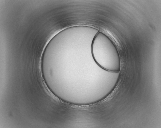 X0000115700900200912101212