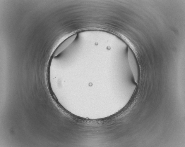 X0000115700901200912101212