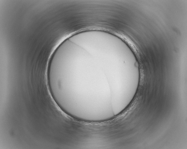 X0000115700902200912101212