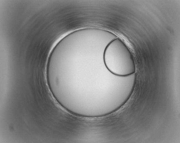 X0000115700904200912101212